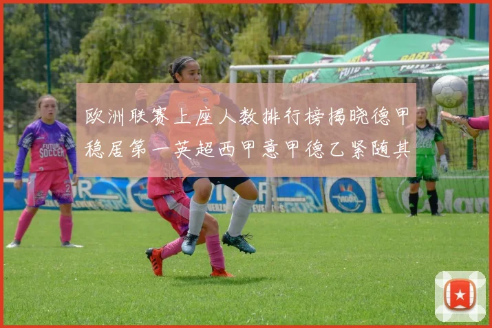 欧洲联赛上座人数排行榜揭晓德甲稳居第一英超西甲意甲德乙紧随其后
