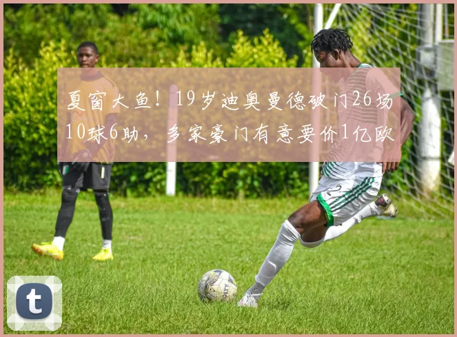 夏窗大鱼！19岁迪奥曼德破门26场10球6助，多家豪门有意要价1亿欧