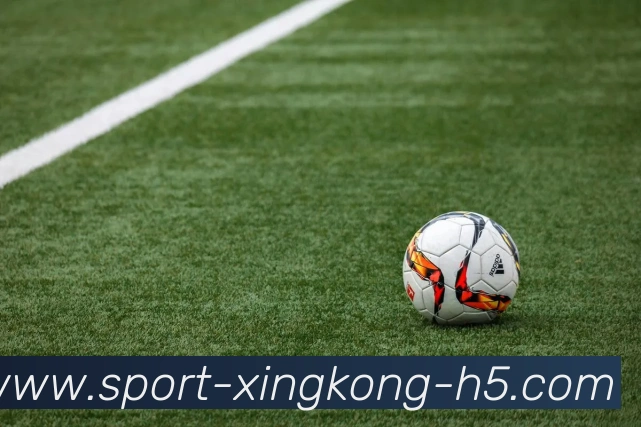 星空体育平台生态图