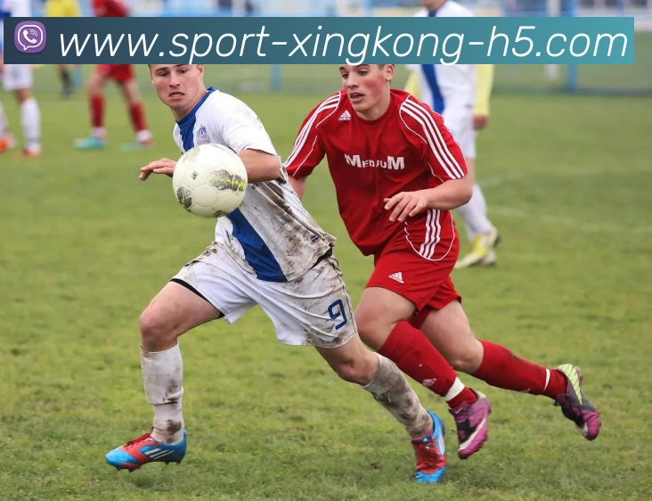 星空体育全站App